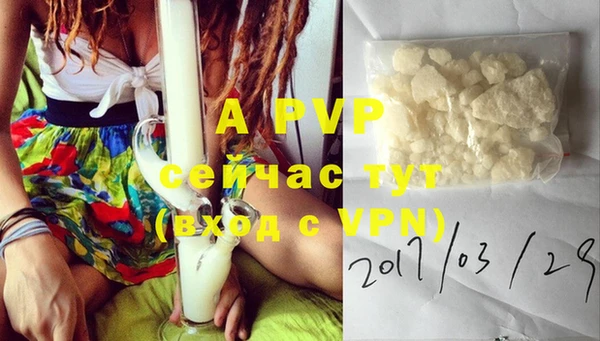 крисы Балахна