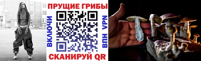 Галлюциногенные грибы Magic Shrooms  гидра зеркало  Североморск  дарнет шоп 
