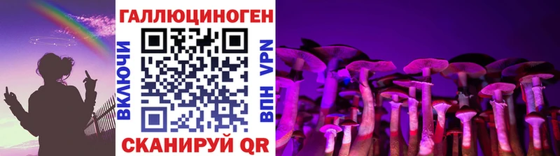 Галлюциногенные грибы Psilocybine cubensis Североморск